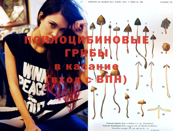 apvp Белокуриха