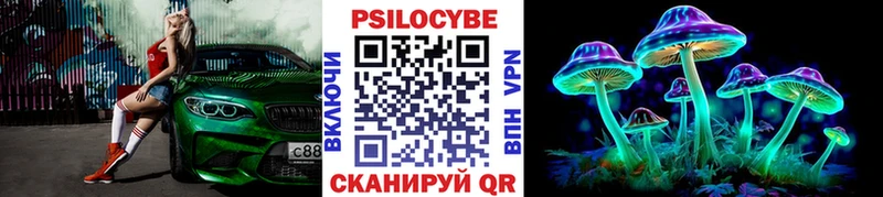 закладка Никольское Галлюциногенные грибы Psilocybine cubensis